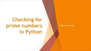 Code for checking the Prime Number | Python Programming Lesson 11  | Undergrad Academy