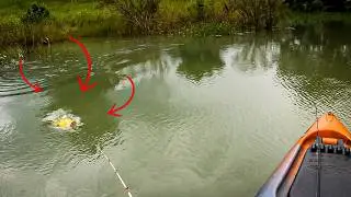 O Coração quase saiu pela boca com essa puxada! #pesca