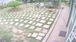 CCTV Catches Violence of Nepalese Earthquake Part 2
