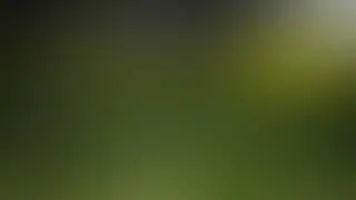 Deep Sleep Music for Relaxing