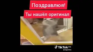 шнапи оригинал