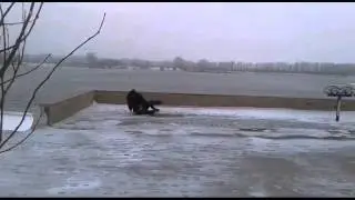 Копия видео "Это всё что есть у нас ))))"