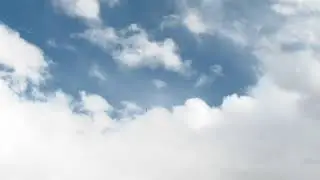 S1190002