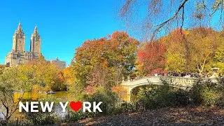 [4K]🇺🇸 NYC Walk: Embrace the Autumn Vibes in Central Park & the Upper East Side, NYC🍁👻🎃  Oct. 2024.