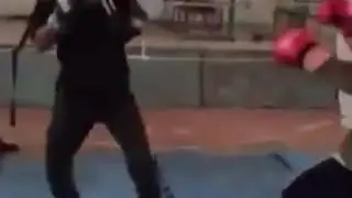 Молодец Хороший Боксёр