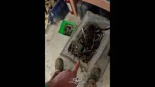 Now Thats IslandSpec