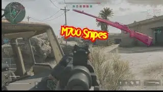 DeltaForce M700 Iron Sight Precision
