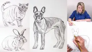 How to Draw Pets | Learn the Skill of Drawing | Online Art Lessons
