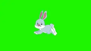 rabbit running green screen