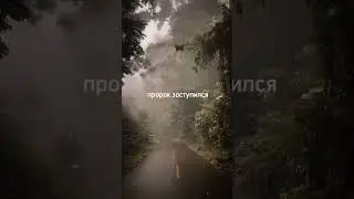 13 декабря 2023 г.