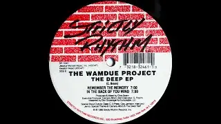 The Wamdue Project - In The Back Of Your Mind (1996)