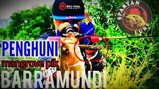 BARRAMUNDI PENGHUNI MANGROVE PIK || TERNYATA SPOT TERLARANG ❗