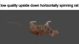 low quality upside down horizontally spinning rat 