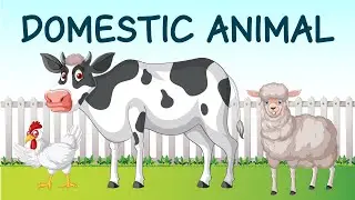 Animal | Horse | Dog | Cat | Domestic Animals | Pre School #animals #cat #dog