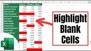 How to Highlight Blank Cells in Excel (Conditional Formatting)
