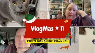Vlogmas 11: Big Scare