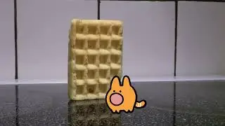 waffle falling over on catino