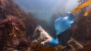 a Mermaid in Cornwall