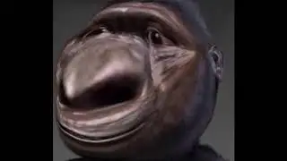 The shortest video on YouTube