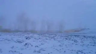 Ямальская линейка 2012