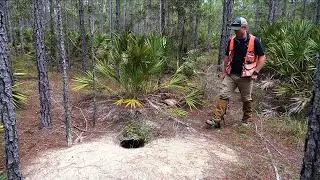 How Foresters Protect Gopher Tortoise Burrows