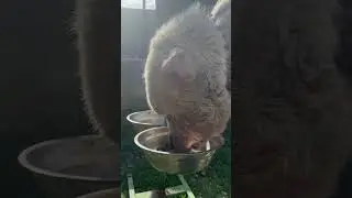 Дедуля радуется любимой еде