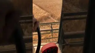 Сорт участок уборка 2023 