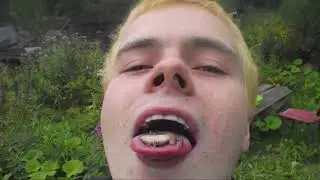 Лягушки