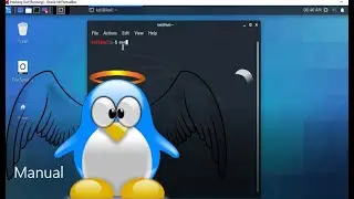 Use Linux Manual Command Effectively