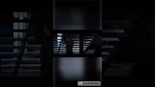 Daily Star Wars 