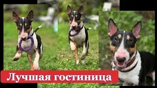 Повезло так повезло!👏🏼👏🏼👏🏼