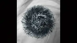 Mihai Cojanu - Feathers
