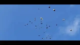 8 марта 2023 г.