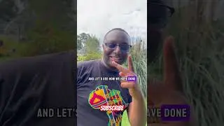 This Trick Make your Portraits 10 times better! 