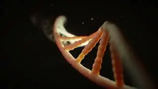 DNA / Molecule / Double Helix | Free Stock Footage