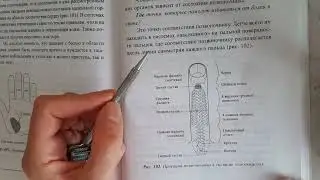 Су джок терапия при боли в шейном отделе позвоночника. 