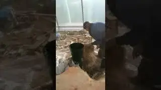 видео от заказчика Алексея, измельчитель сена, соломы и гранулятор