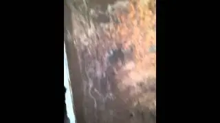 Экскурсия по Чернобылю! Часть 3