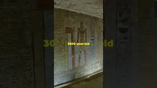 I bet you didn’t know these facts!