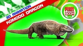 Green Screen Komodo Dragon Varanus Komodoensis Lizard - Footage PixelBoomCG