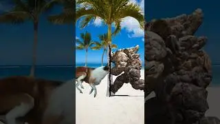 bakra dila do pyare baba bakra eid mubarak ho islamic video 