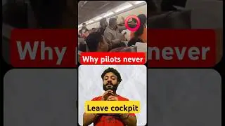 why pilots never leave cockpit 🤯 #facts #mustknow #knowledge #logic #safety #accident #hiddendetails