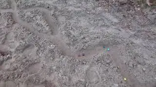 Marbles Race