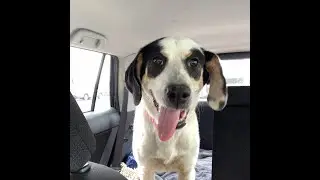 Baby Girl Coming Home