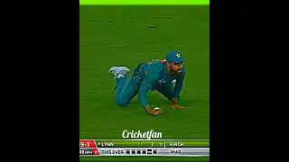 Shadab Khan what a catch 😱 #shorts #ytshorts #cricketfan