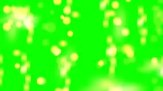 Winter Sparkle - Light leak - Green Screen