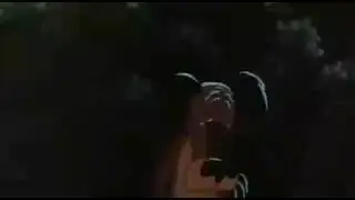 Приколы и Приключения