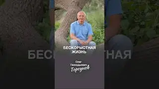 Бескорыстная жизнь #Торсунов