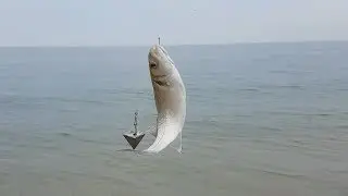 Nudist beach, Bass fishing