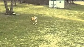 Trinity and Zeus